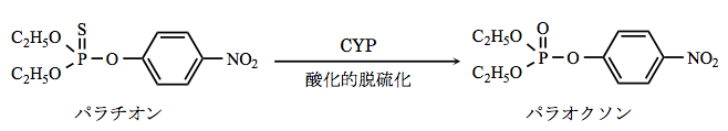 解説画像
